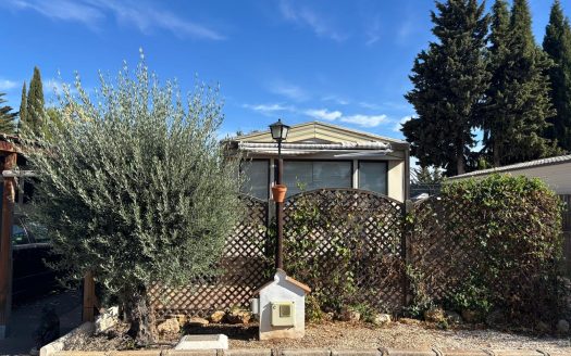ABI Arizona, Plot 9 Olive Grove
